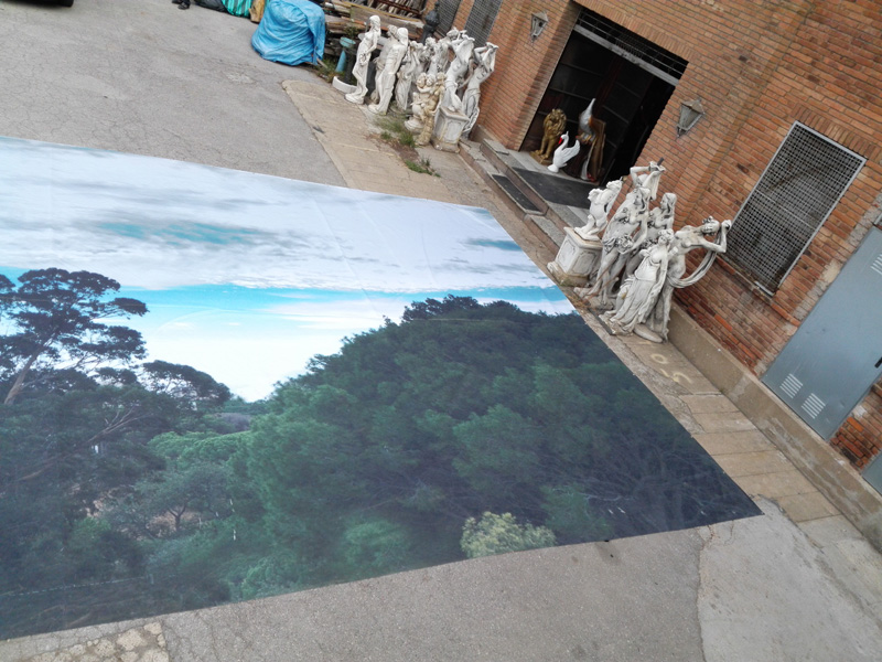 fondo fotografico bosque cielo loneta ojales 2tamaños 1u